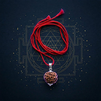 5 Mukhi Nepali Rudraksh Mala - Image 5 | Bhavishyavaani